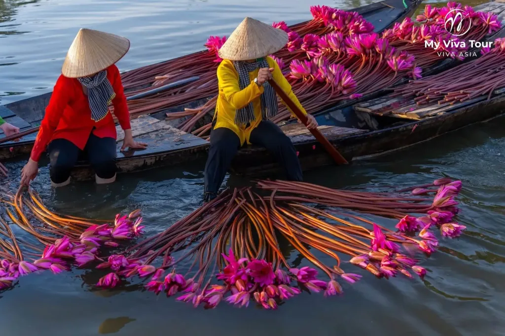 Mekong Delta