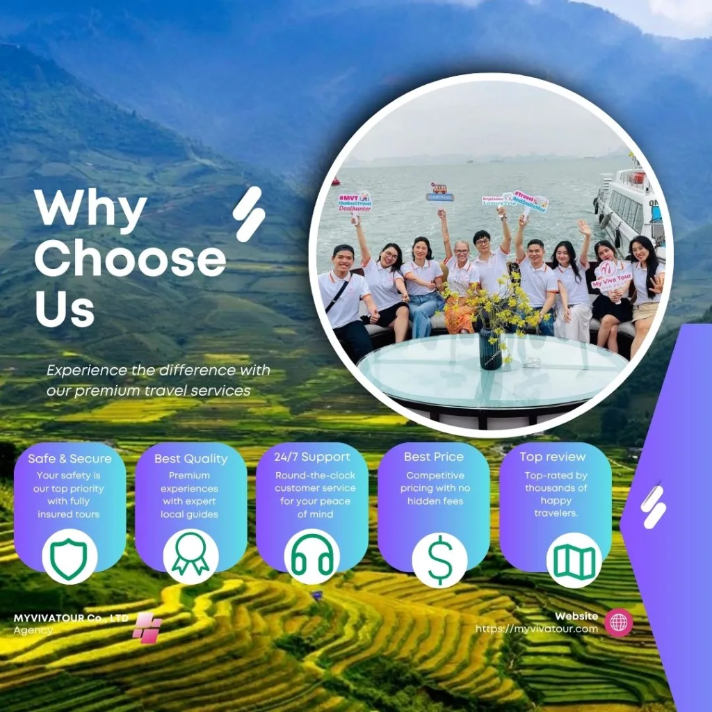 Why Choose MyVivaTour
