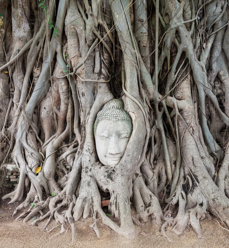 Ayutthaya Travel Guide: Temples, Best Time to Visit & Day-Trip Tips