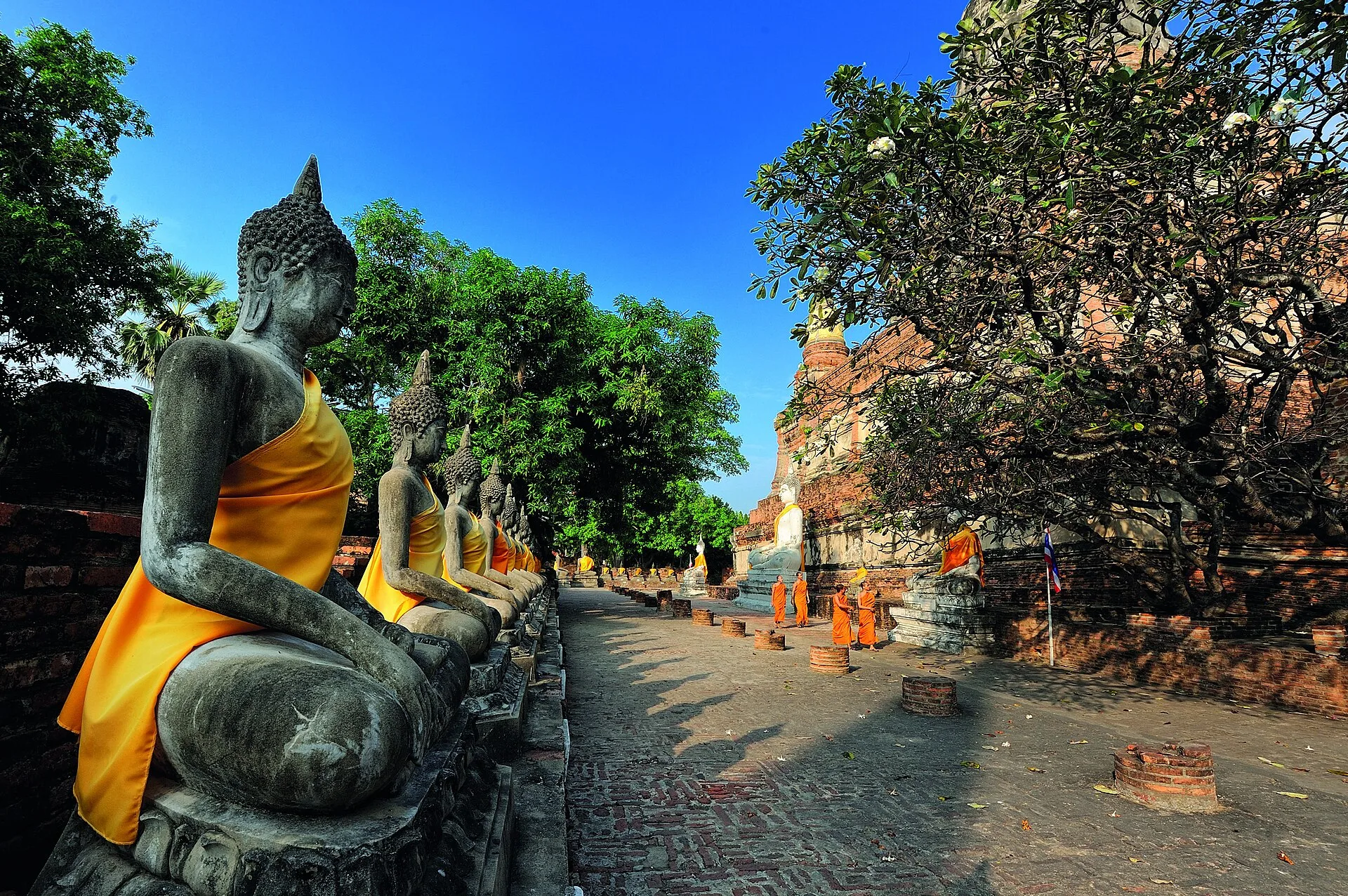 Row of seated Buddha statues draped in saffron sashes lining Wat Yai Chai Mongkhon in Ayutthaya