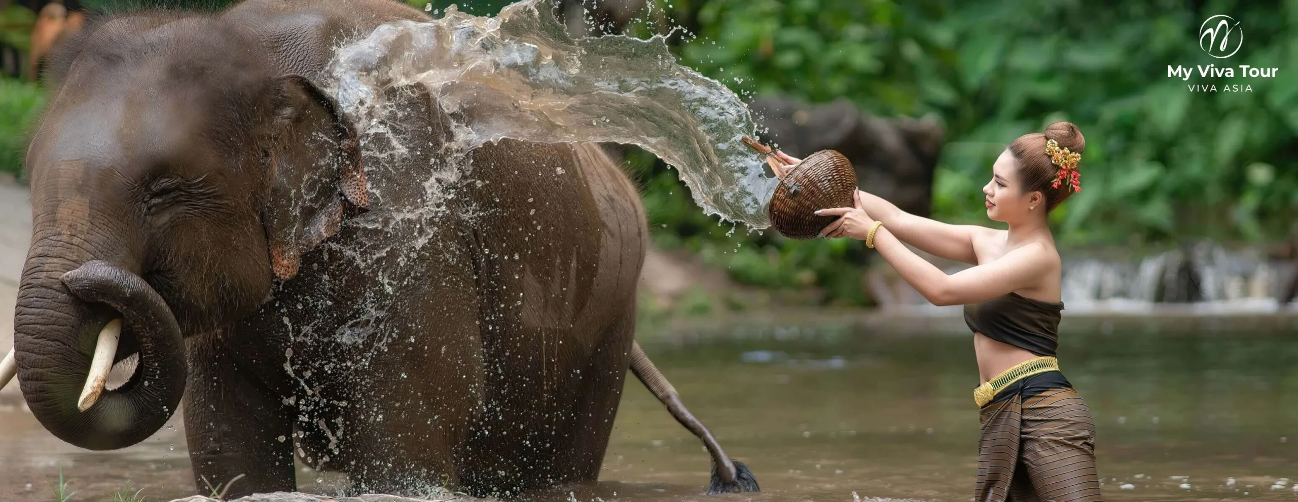 Caretaker in traditional dress bathing a rescued elephant in a river at an ethical sanctuary near Chiang Mai
