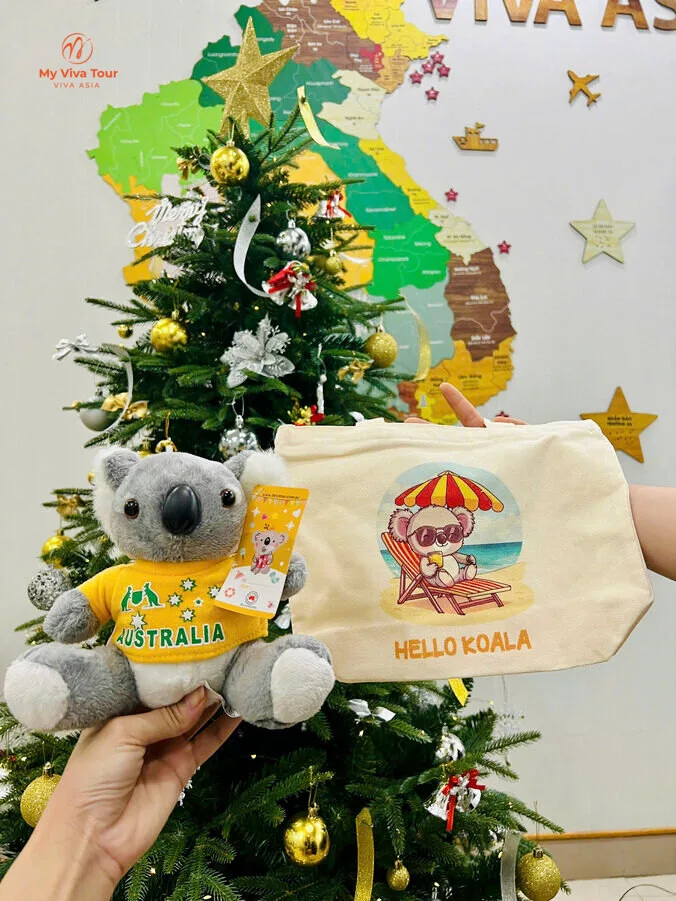 Koala teddy in an Australia jersey and a Hello Koala canvas bag, the gift Mrs. Cuc gave on her Vietnam trip