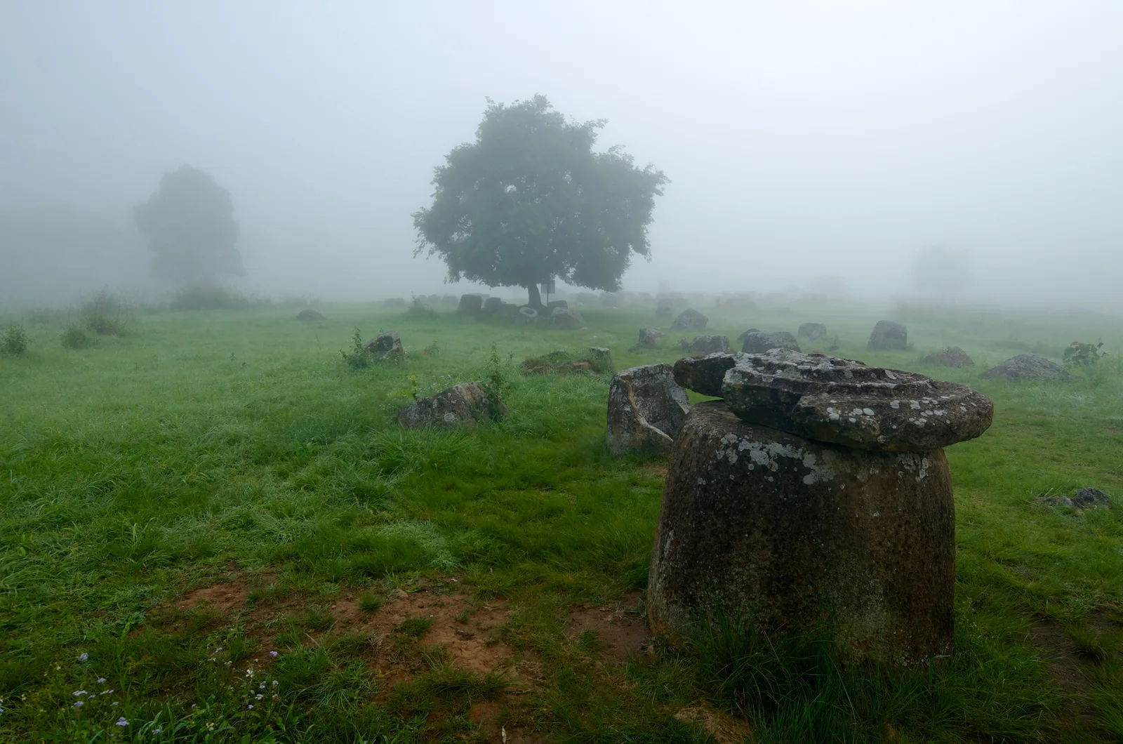 A rare lidded stone jar in the foreground on a misty green morning at the Plain of Jars, with a lone tree in the fog behind