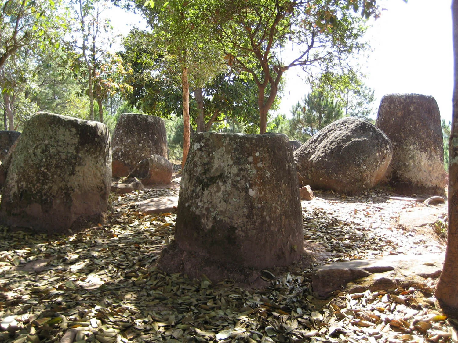 Cluster of lichen-covered ancient stone jars among shade trees at Plain of Jars Site 2 near Phonsavan, Laos