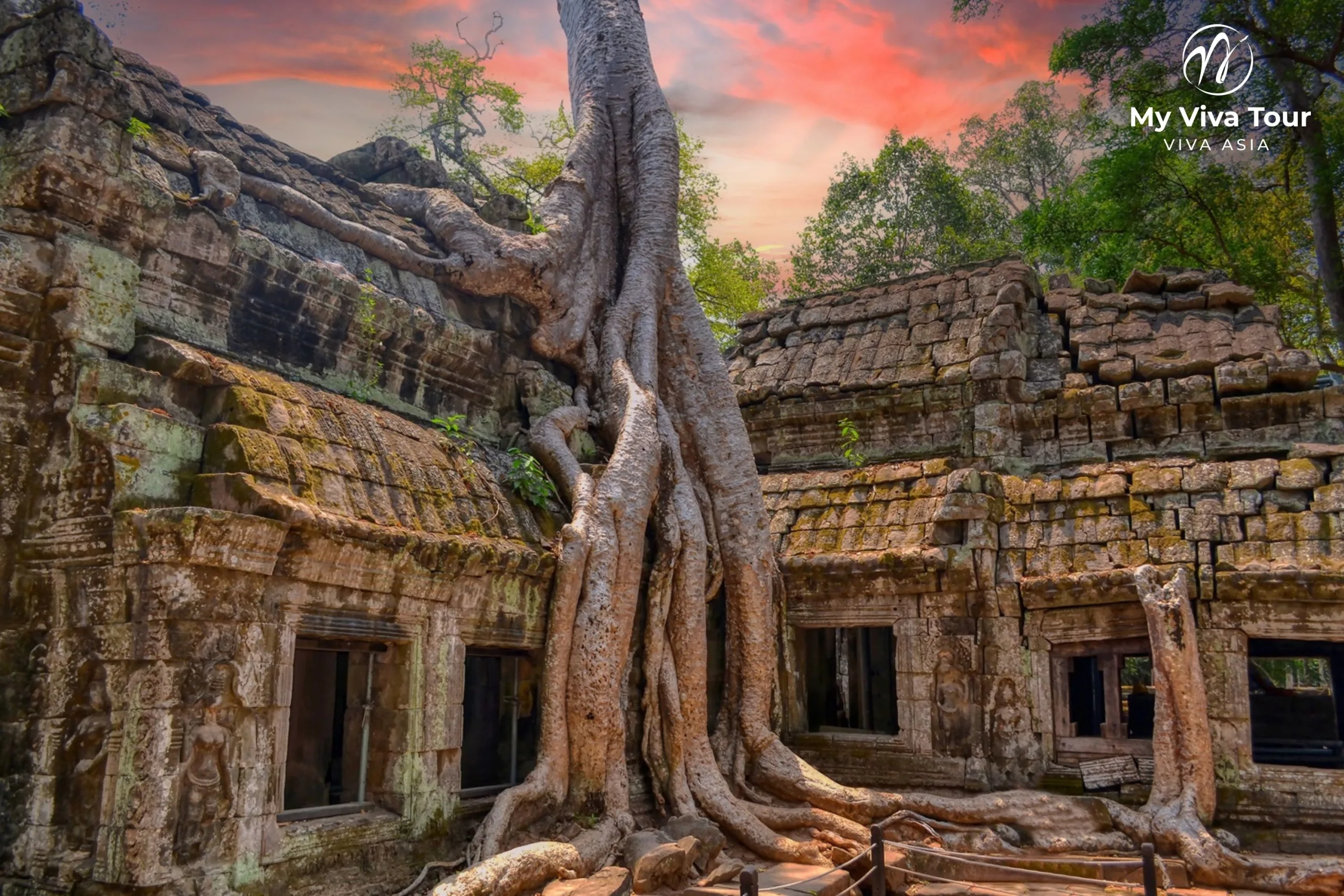 Giant strangler fig roots draped over the ancient stone ruins of Ta Prohm temple, Angkor, Siem Reap, Cambodia