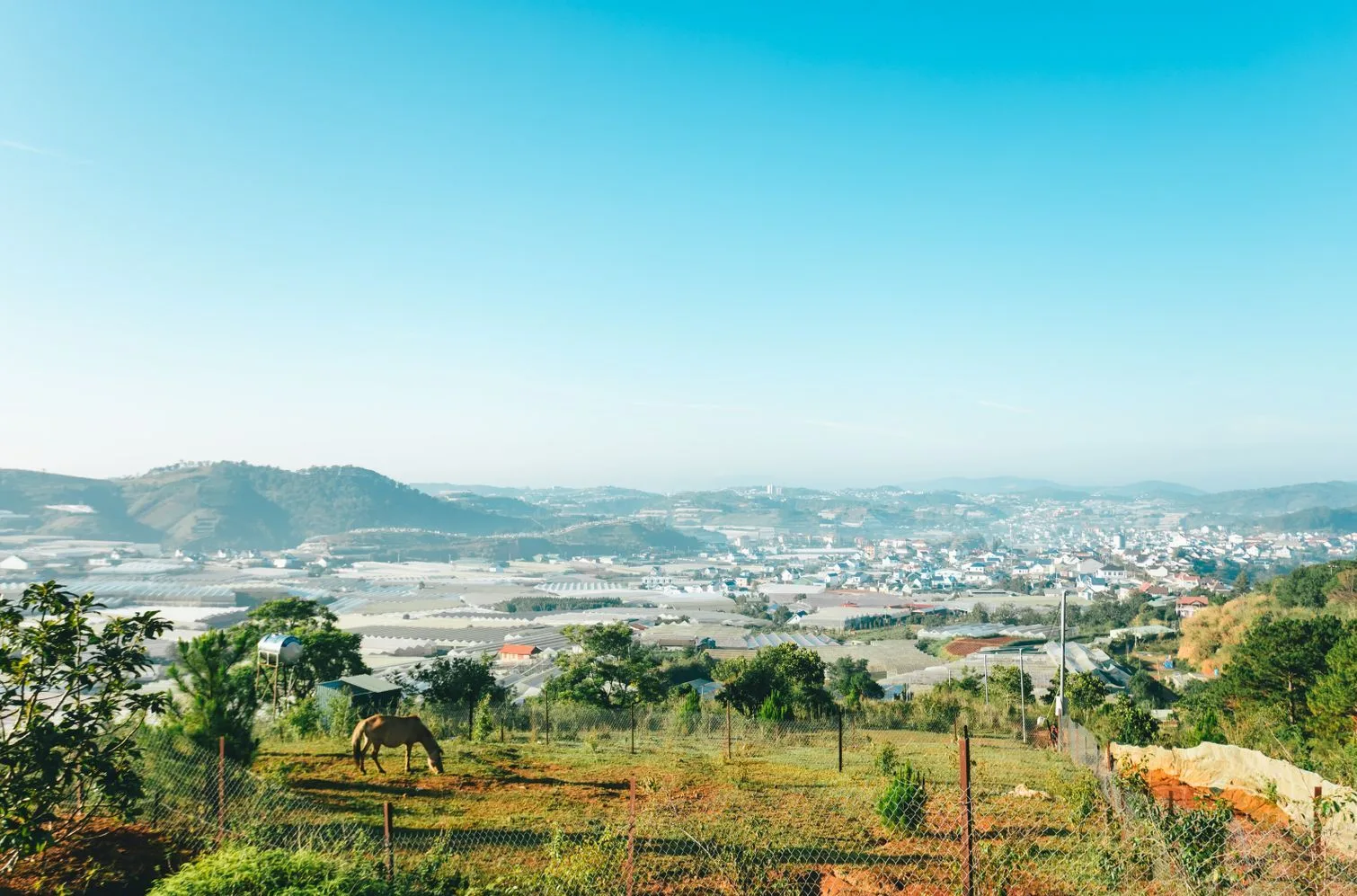 View over the Da Lat valley of greenhouses and vegetable farms with a grazing horse in the foreground