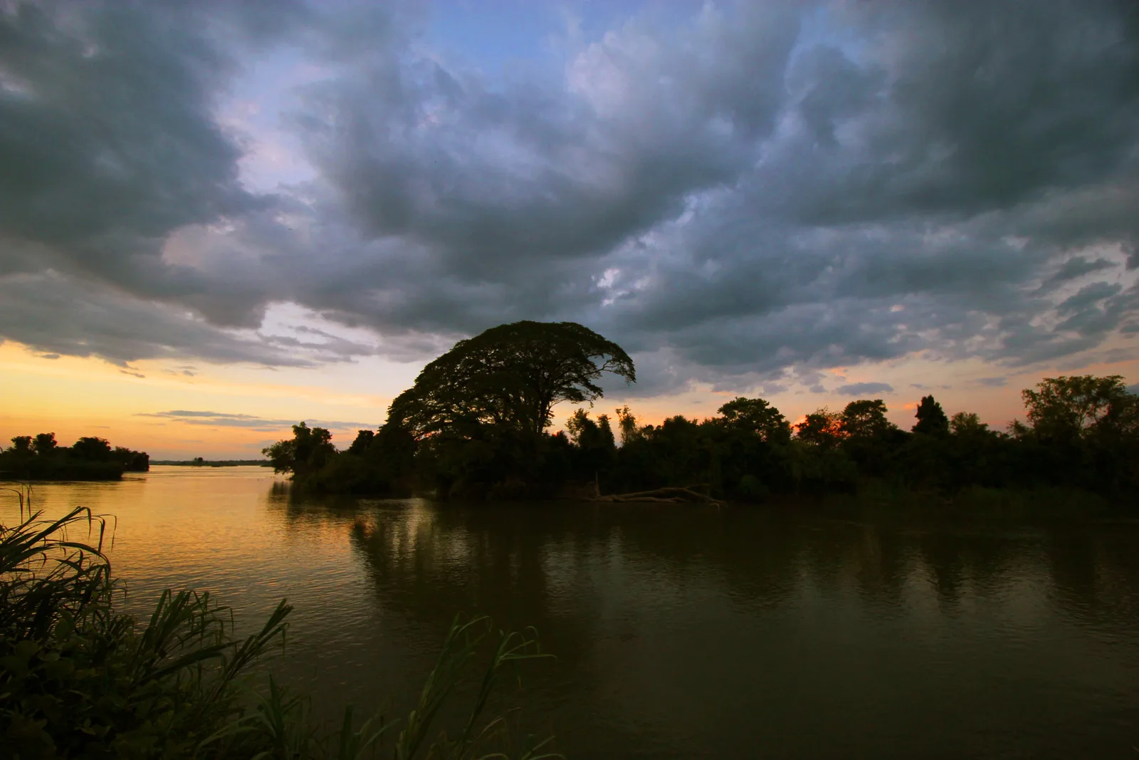 Sunset over the Mekong River at Si Phan Don in southern Laos with a silhouetted rain tree and storm clouds