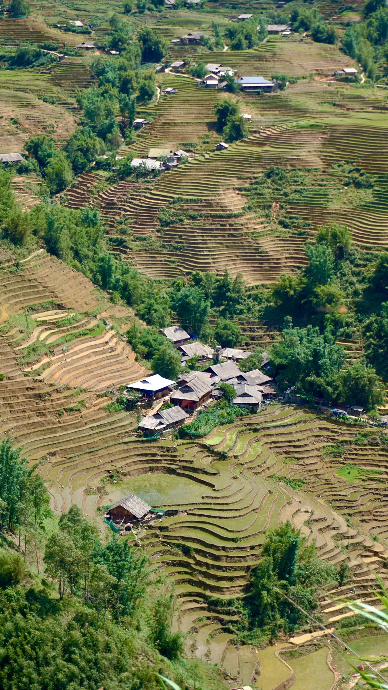 Terraced rice fields and a Hmong hamlet in the Muong Hoa Valley near Sa Pa