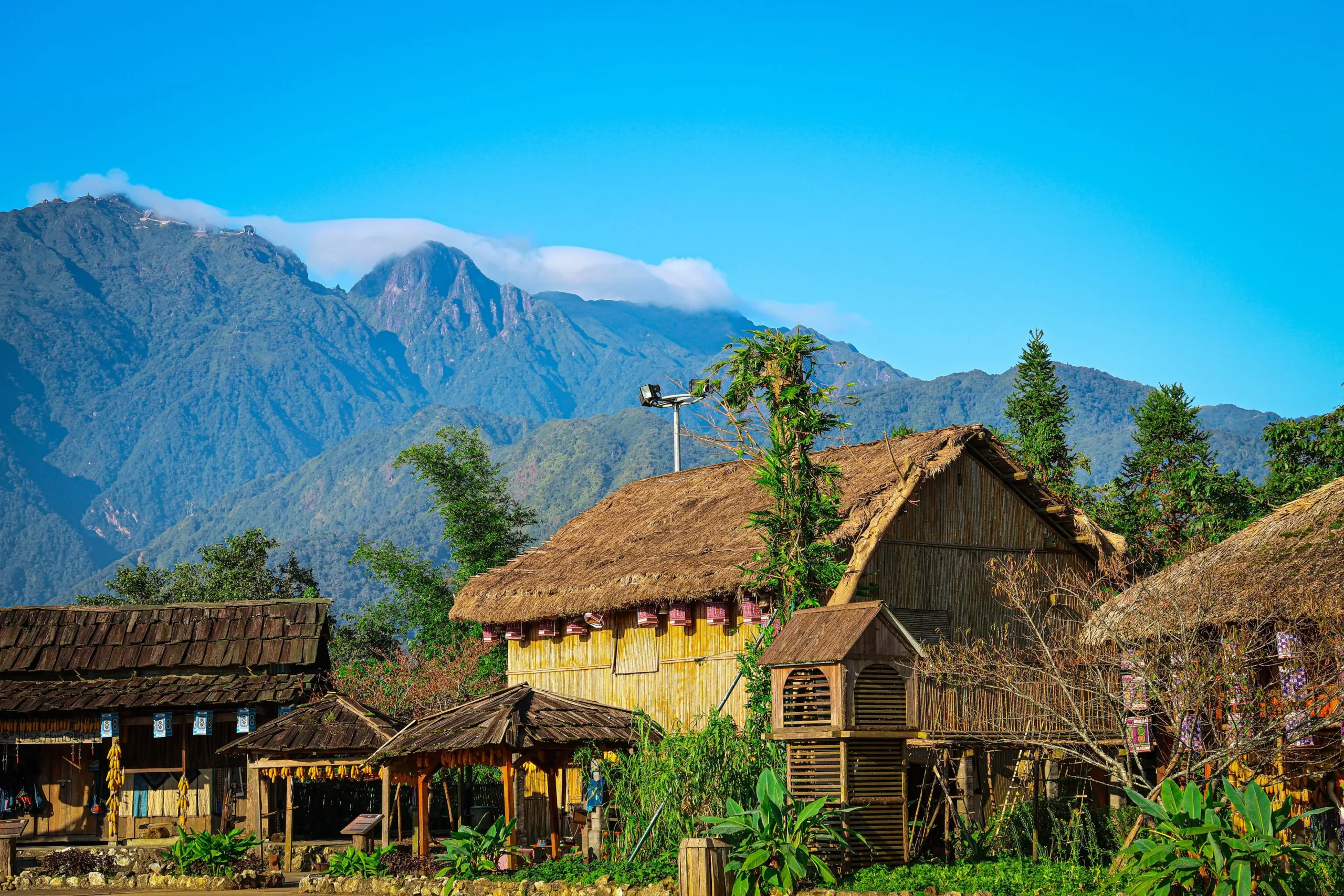 Thatched-roof stilt houses in a Sa Pa hill-tribe hamlet with the Hoang Lien mountains behind