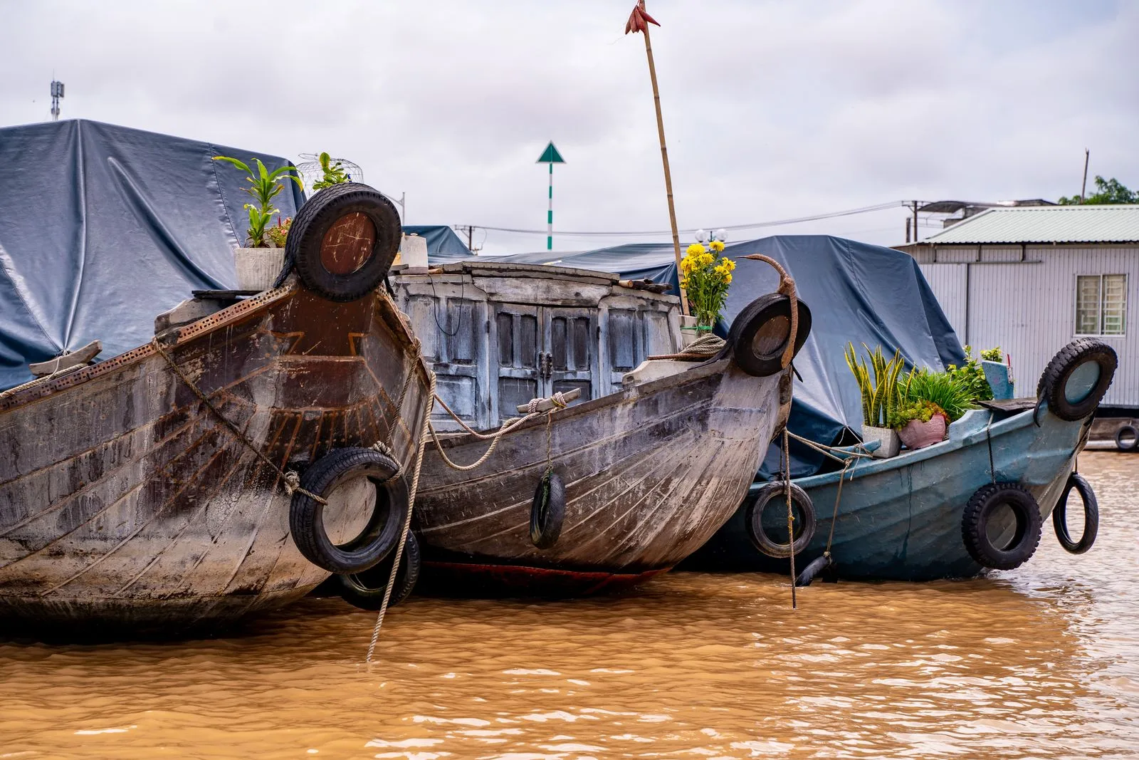 Traditional wooden cargo boats moored on the brown Mekong River, a classic scene for a Mekong Delta travel guide