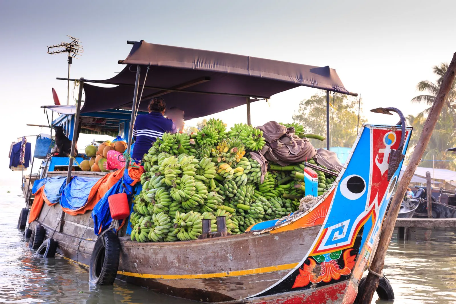 A wooden boat piled high with green bananas at a Mekong Delta floating market at sunrise
