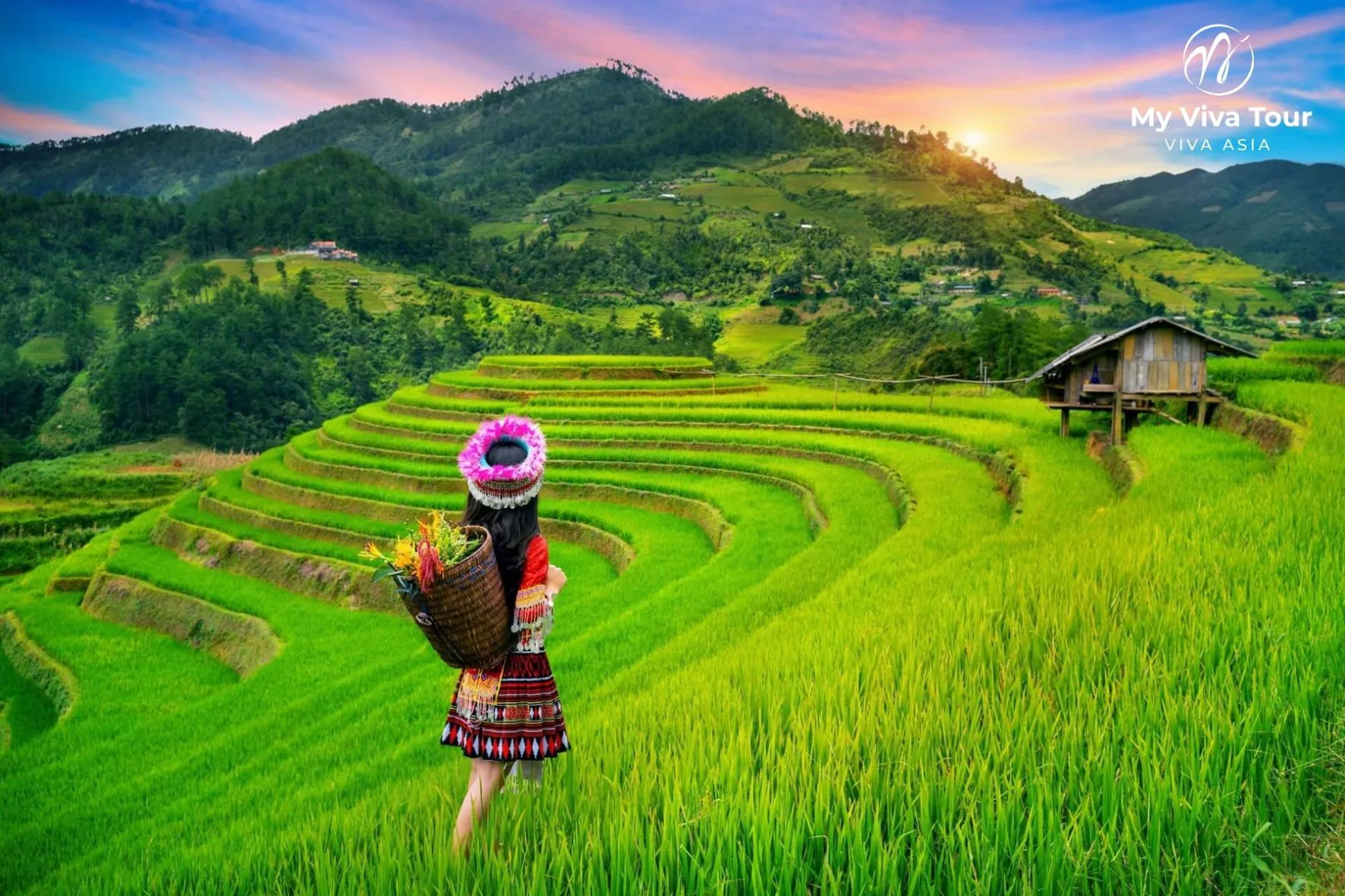 Golden rice terraces at Mu Cang Chai during the September harvest season in northern Vietnam