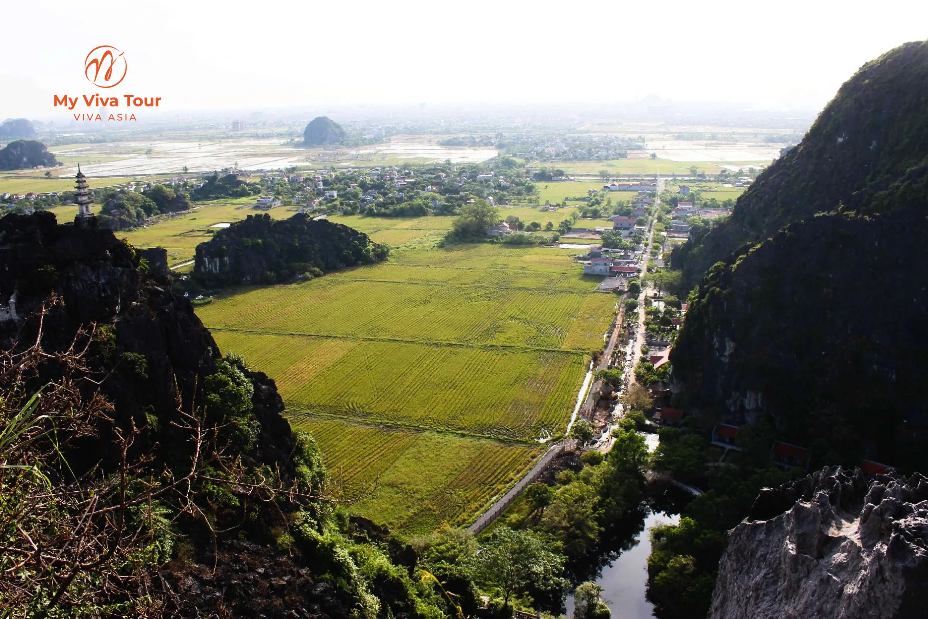 Ripening rice fields and limestone karst mountains around Tam Coc in Ninh Binh during the early-summer harvest season
