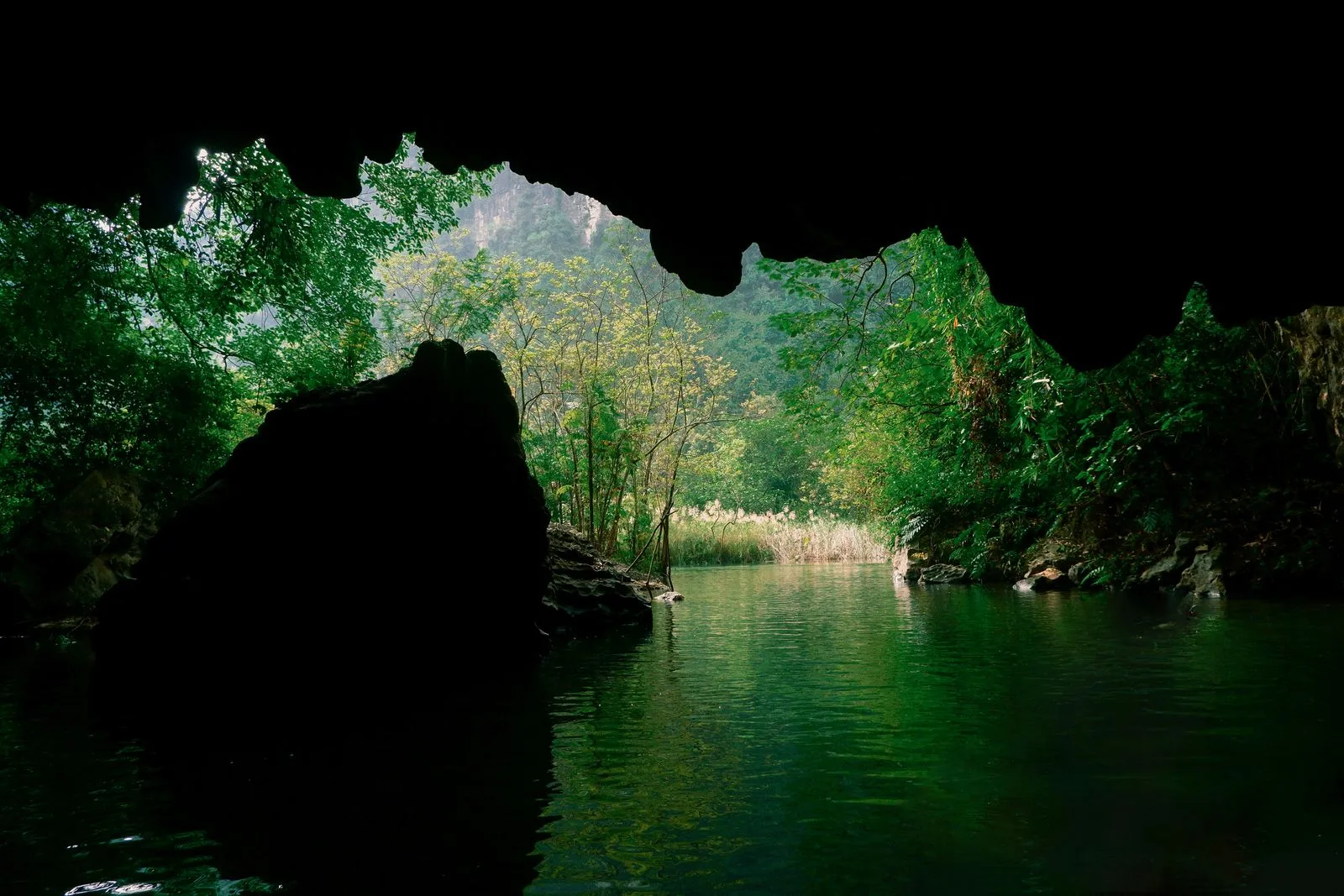 View from a cave mouth in Phong Nha framing a calm green river and jungle-covered karst mountains