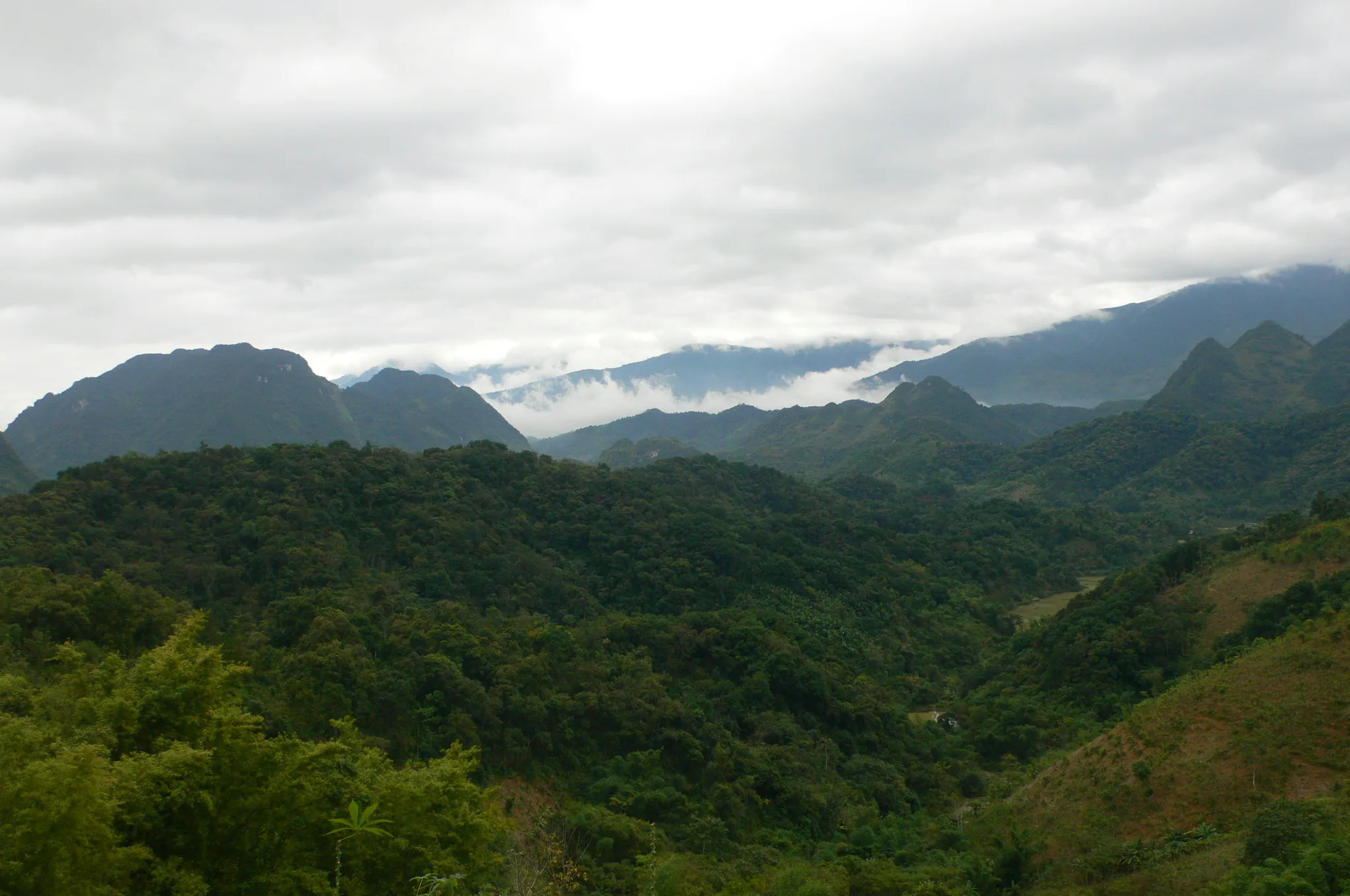 Forested limestone mountains and low cloud over the core zone of Pu Luong Nature Reserve in Thanh Hoa, northern Vietnam