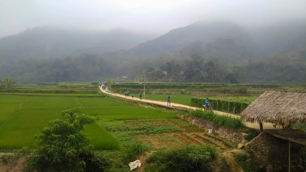Pu Luong travel guide: trekkers on a path through bright green rice paddies below misty karst hills, with a thatched stilt house in a Pu Luong Nature Reserve valley
