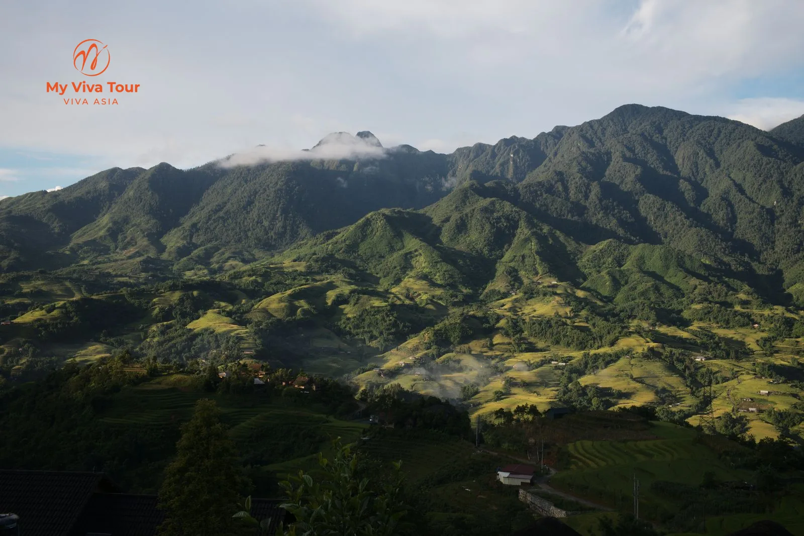 Terraced rice fields below the mountains near Sapa in northern Vietnam