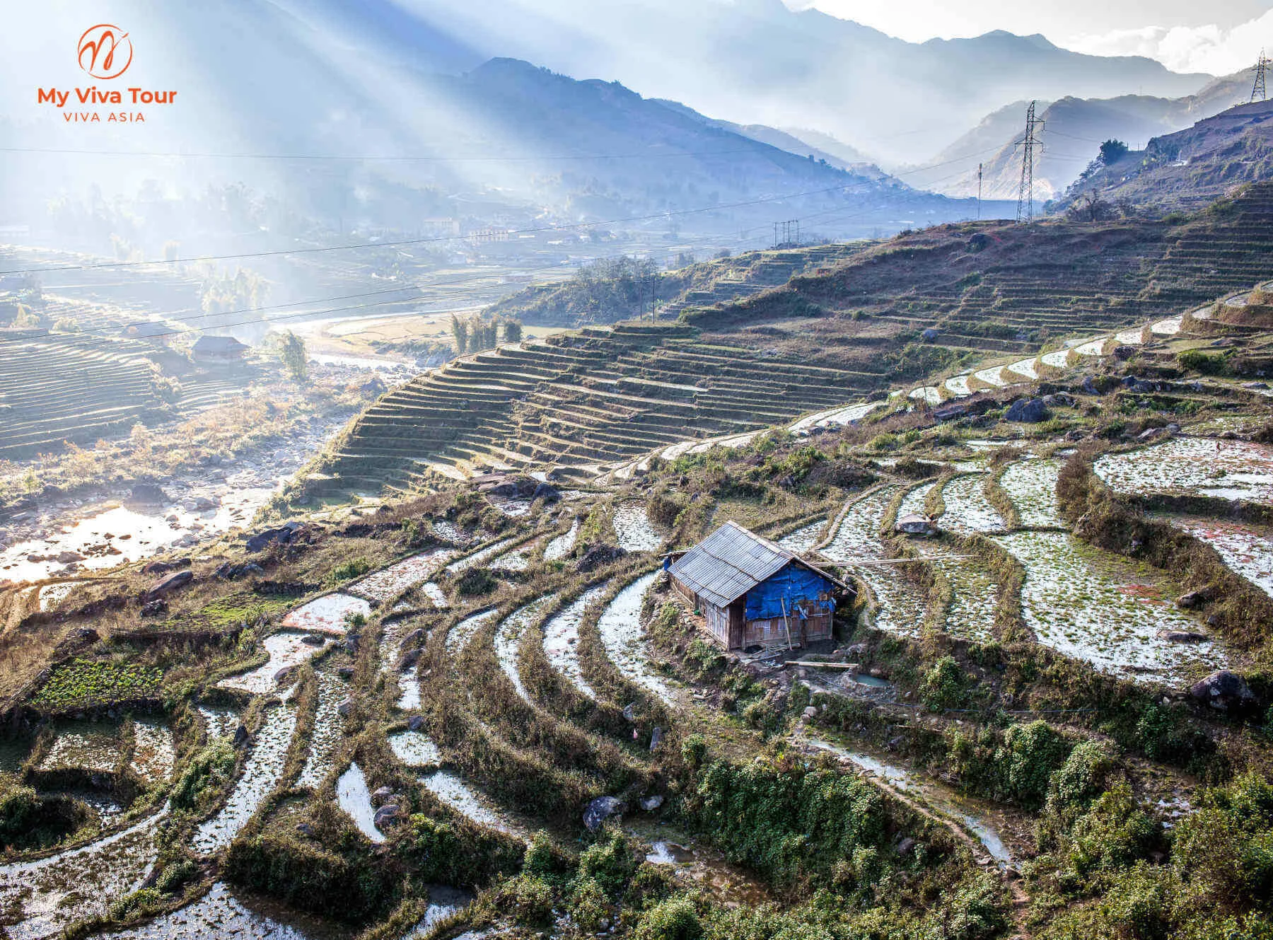 Terraced rice fields catching morning light in the Sapa valley, northern Vietnam