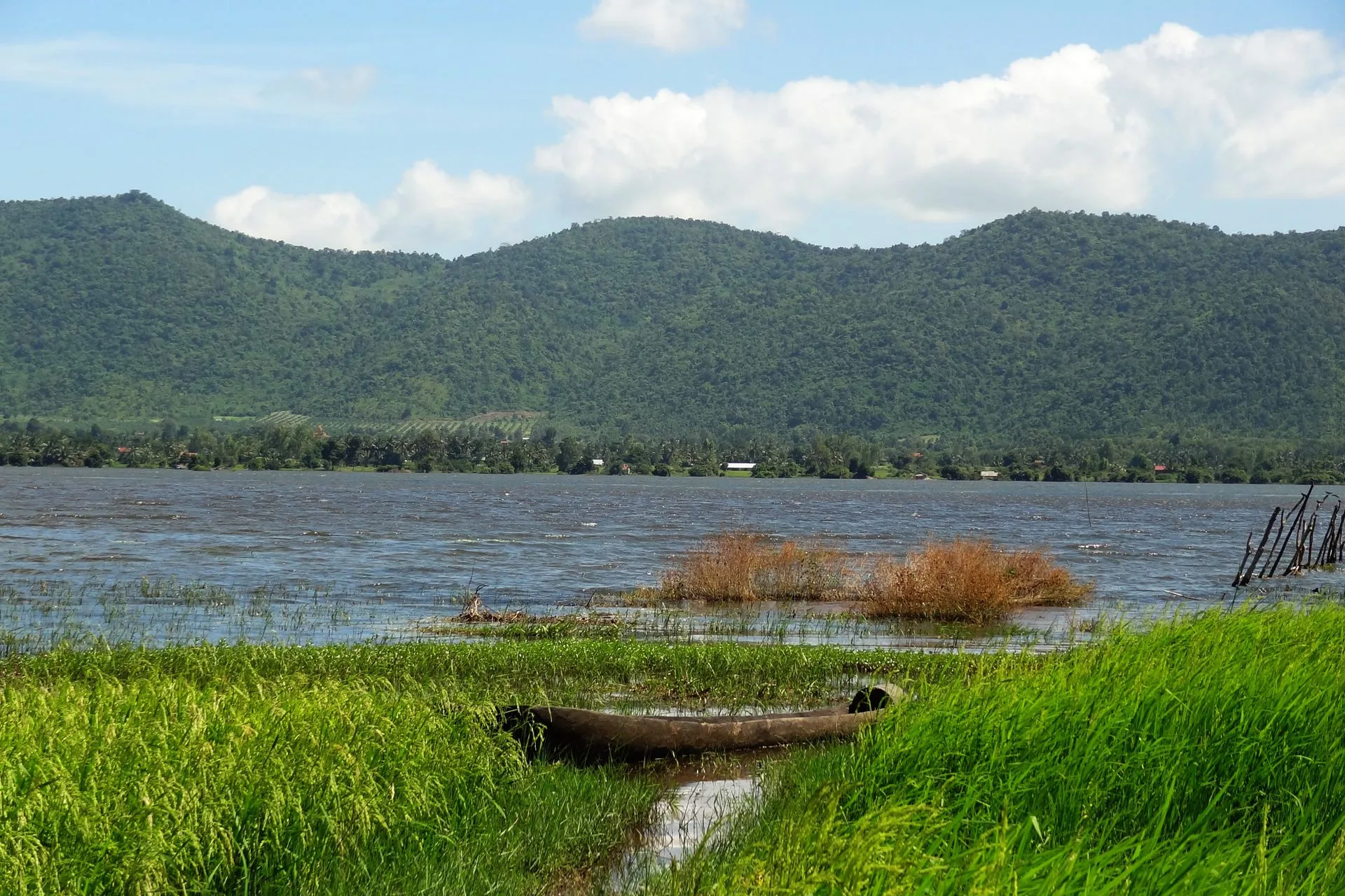 Wooden boat in green grass beside the Kampot River with forested hills behind